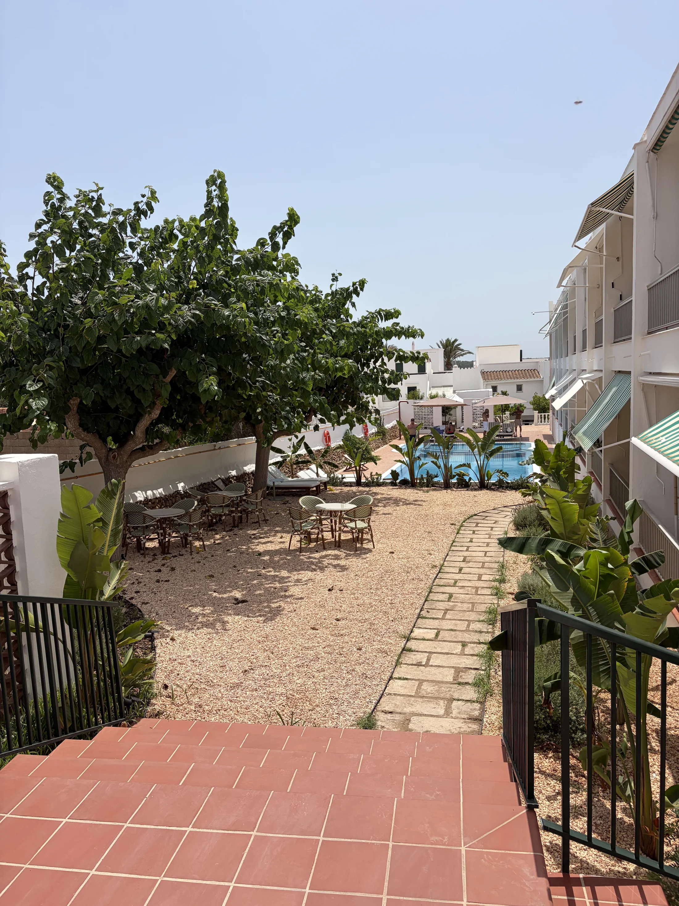 Jardín trasero del Hotel S'Algaret con higuera, gravilla y la piscina al fondo